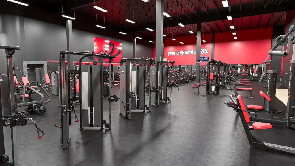 Dynamic_Barker_Cypress-10