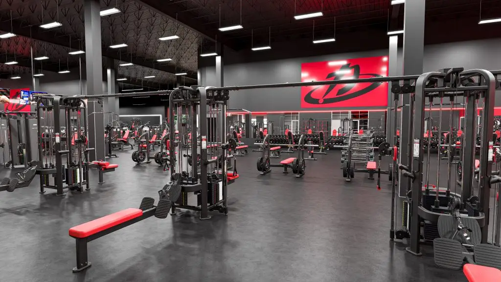 Dynamic_Barker_Cypress-31